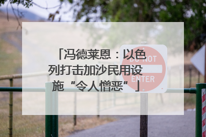 冯德莱恩：以色列打击加沙民用设施“令人憎恶”